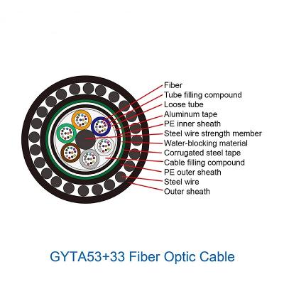 GYTA5333.jpg GYTA5333.jpg