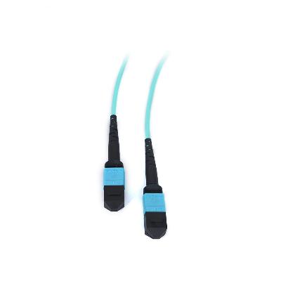 MPO Fiber Optic Products (2).jpg